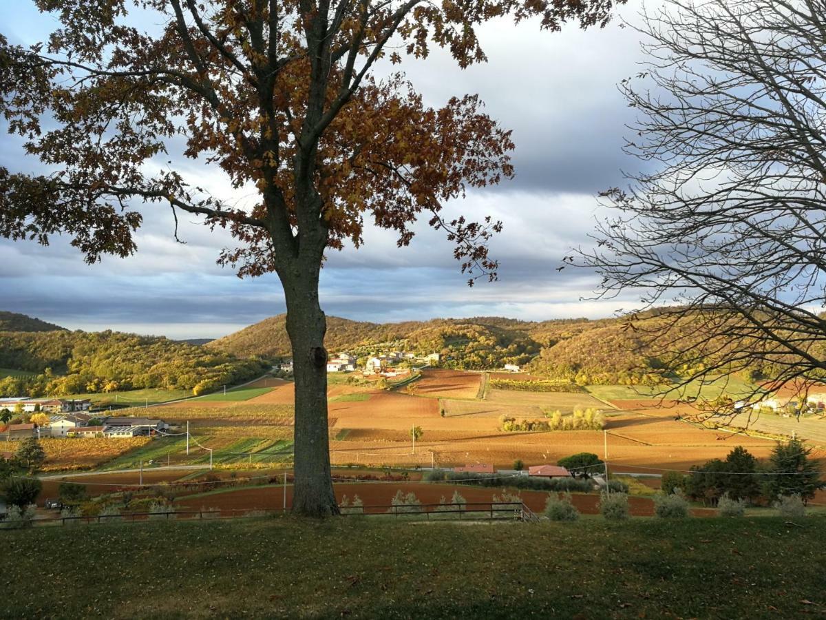 VillagaPaglia E Fieno住宿加早餐旅馆 外观 照片